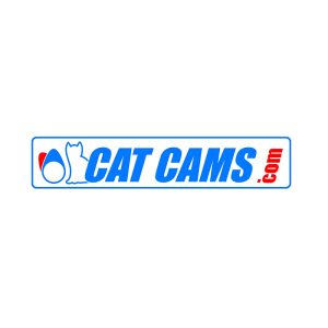 CatCams spring retainer 99122/H - BMW M42