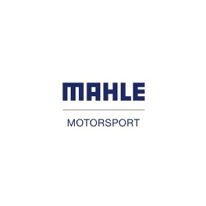 Mahle Motorsport clip 1977523 - 34.5 x 1.5mm Diesel Circlip